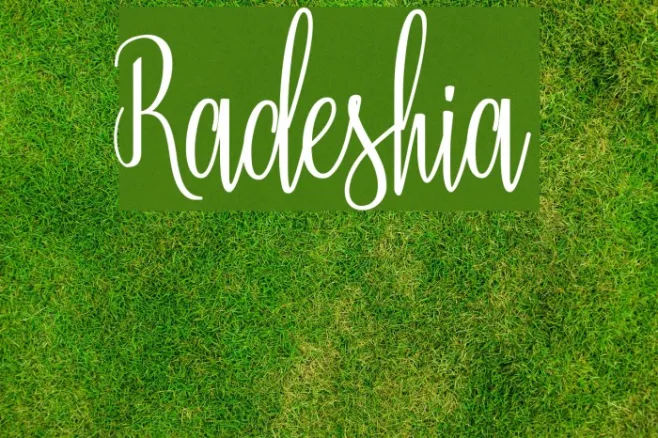 Radeshia Example 3