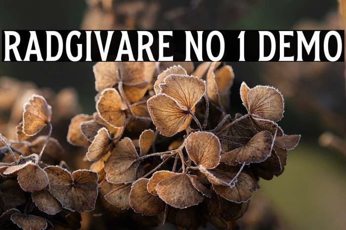 Radgivare No 1 Demo Example 1