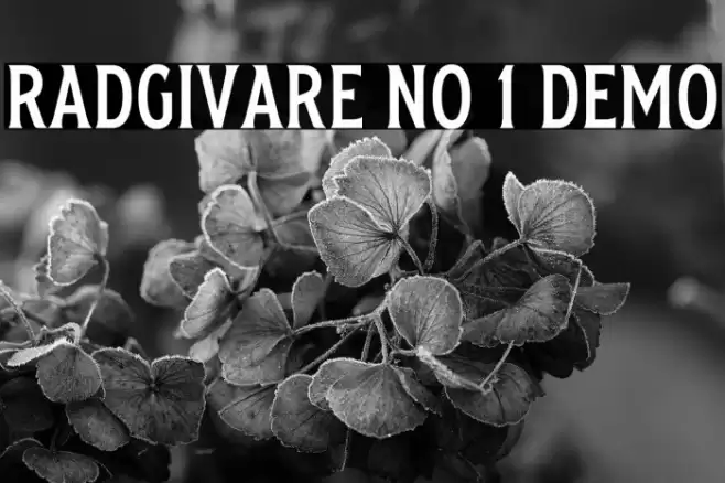 Radgivare No 1 Demo Font examples