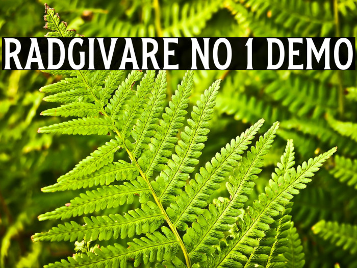 Radgivare No 1 Demo Example 3