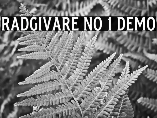 Radgivare No 1 Demo Font examples