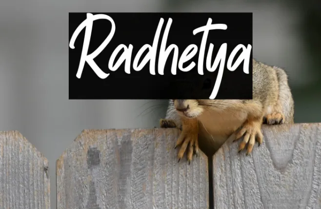 Radhetya Example 2