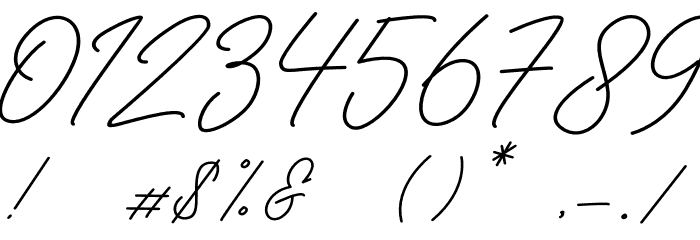 Radhion Signature Font OTHER CHARS