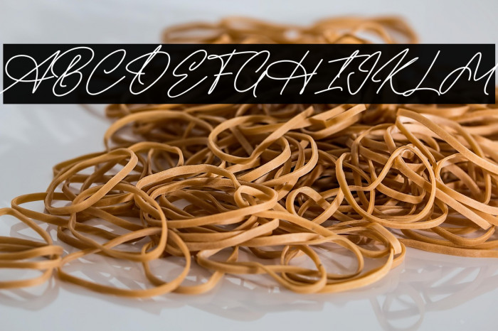 Radhion Signature Example 1