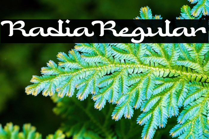 Radia Regular Example 1