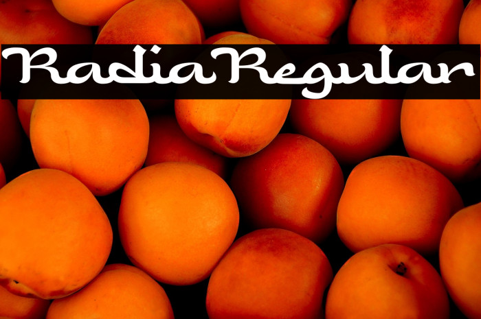 Radia Regular Example 2