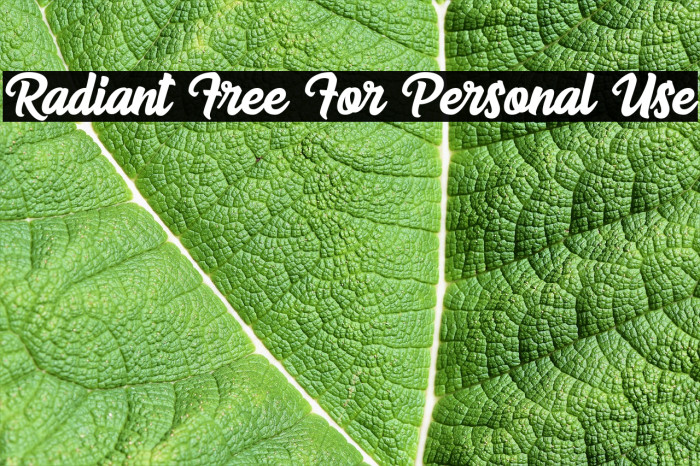 Radiant Free For Personal Use Font examples
