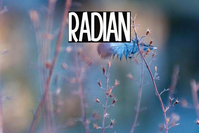 Radiant2 Example 1