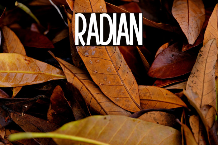 Radiant2 Example 2