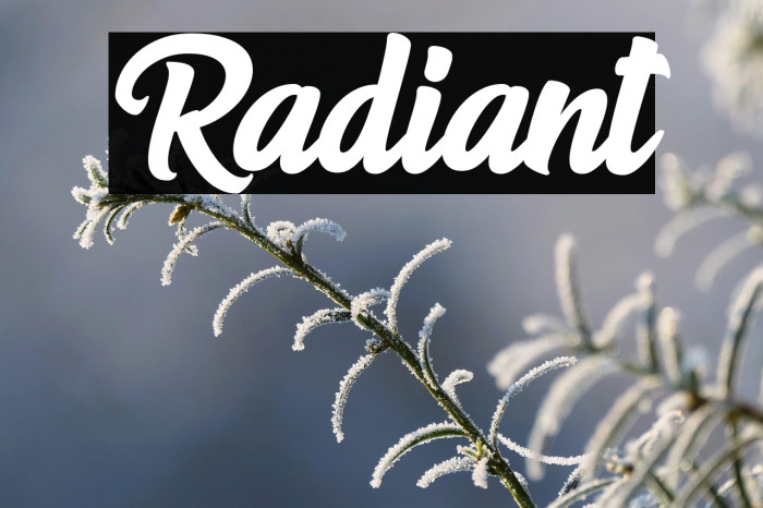 Radiant Example 3