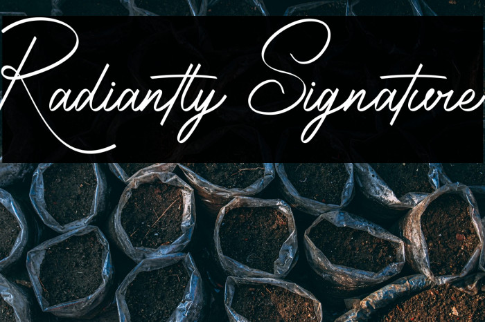 Radiantly Signature Example 1