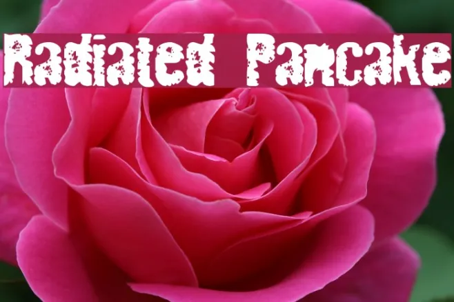 Radiated Pancake Example 3