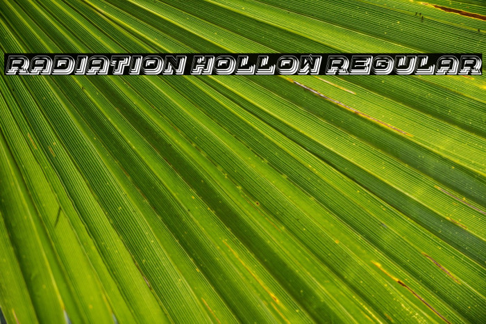 Radiation Hollow Regular Example 2