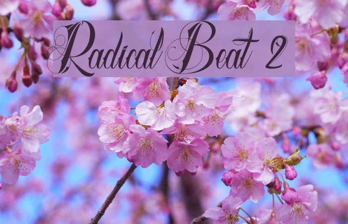 Radical Beat 2 Font examples