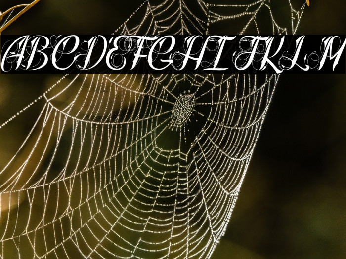 Radical Beat_PersonalUseOnly Example 1