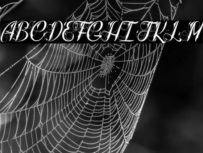 Radical Beat_PersonalUseOnly Font examples