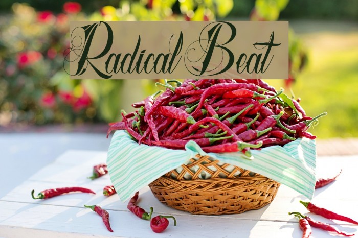 Radical Beat Font examples