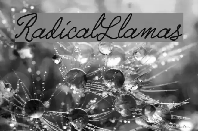 RadicalLlamas Font examples