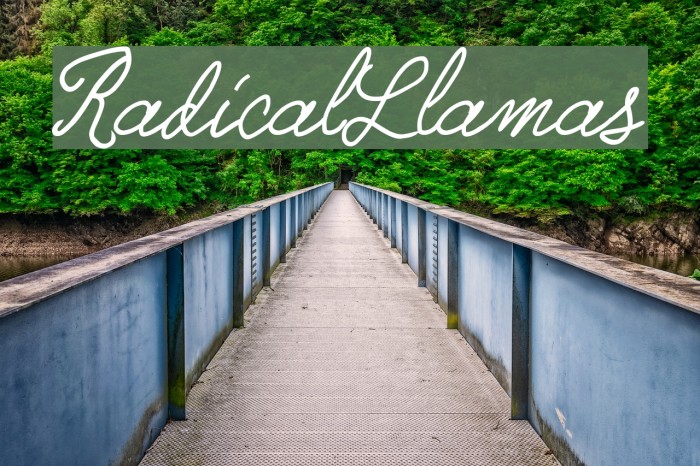 RadicalLlamas Font examples