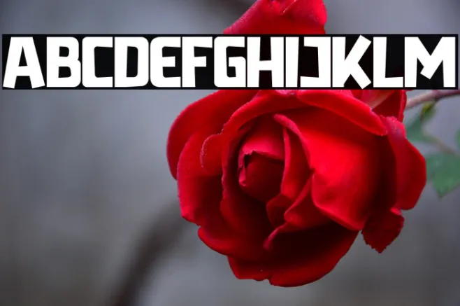 Radicalyps Example 1