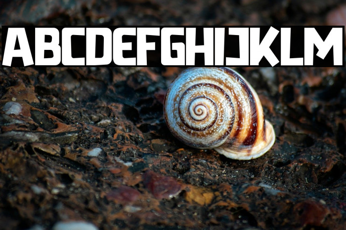 Radicalyps Example 3