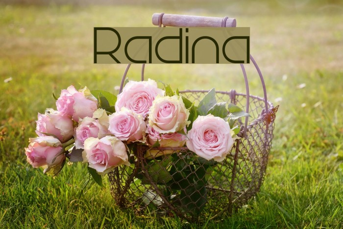 Radina Example 1