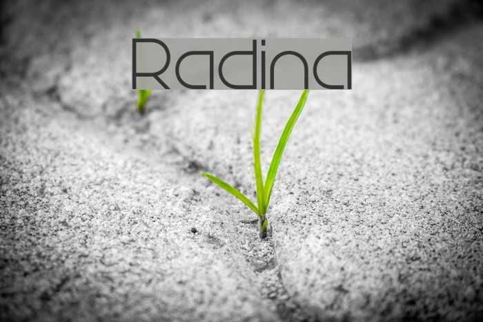 Radina Example 2