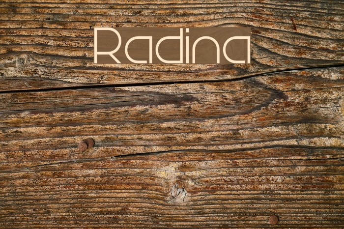 Radina Example 3