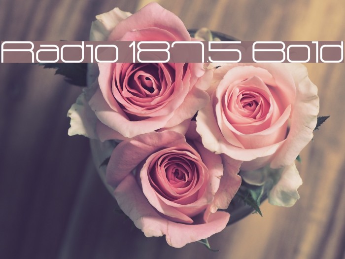 Radio 187.5 Bold Font examples