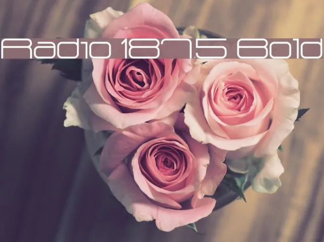 Radio 187.5 Bold Example 2