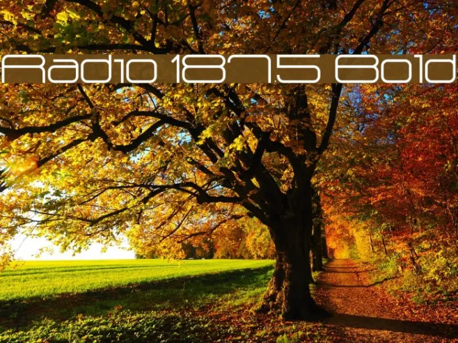 Radio 187.5 Bold Example 3