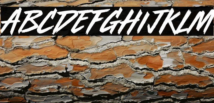 Radio Active Example 1