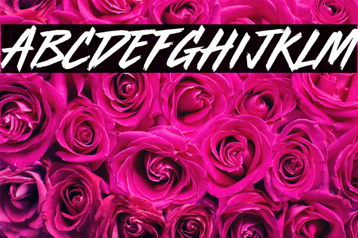 Radio Active Example 2