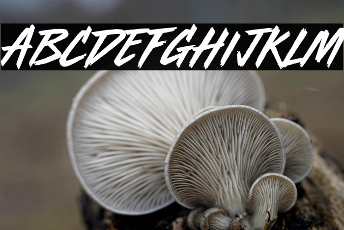 Radio Active Example 3