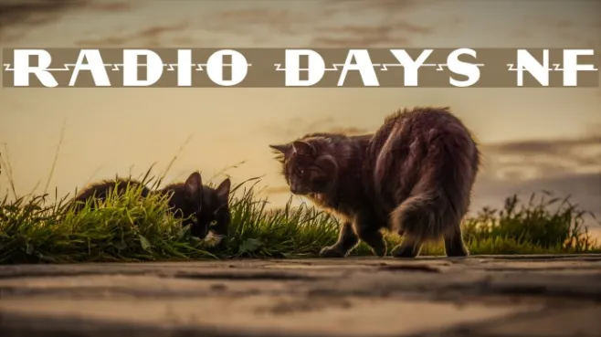 Radio Days NF Example 3