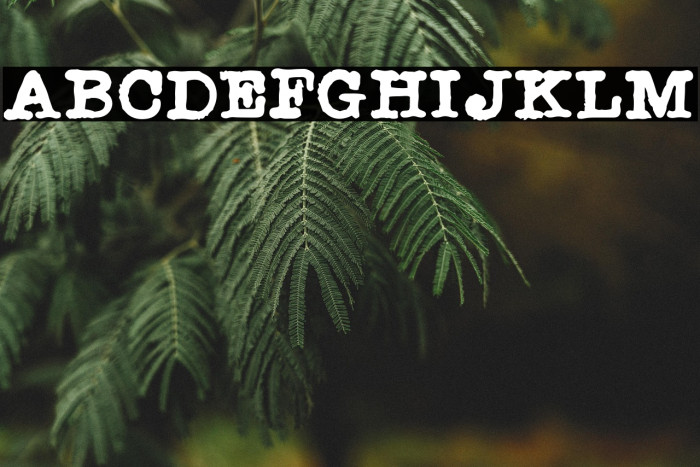 Radio Newsman Example 3