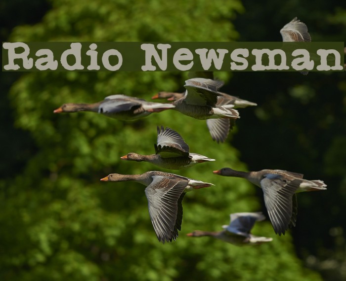 Radio Newsman Example 1