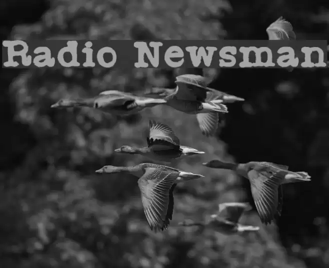 Radio Newsman Font examples
