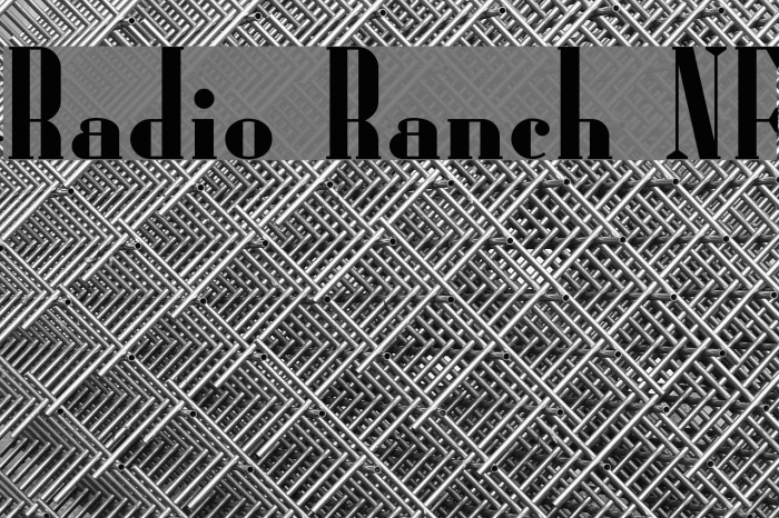 Radio Ranch NF フォント examples