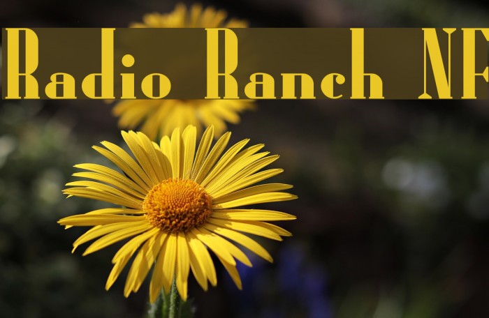 Radio Ranch NF フォント examples