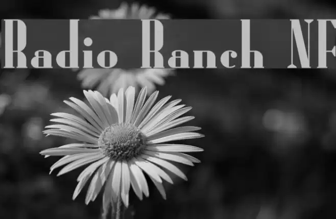 Radio Ranch NF フォント examples
