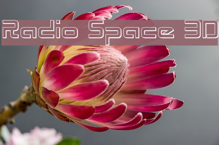 Radio Space 3D Font examples