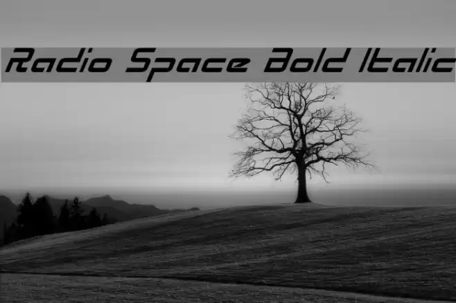 Radio Space Bold Italic Font examples