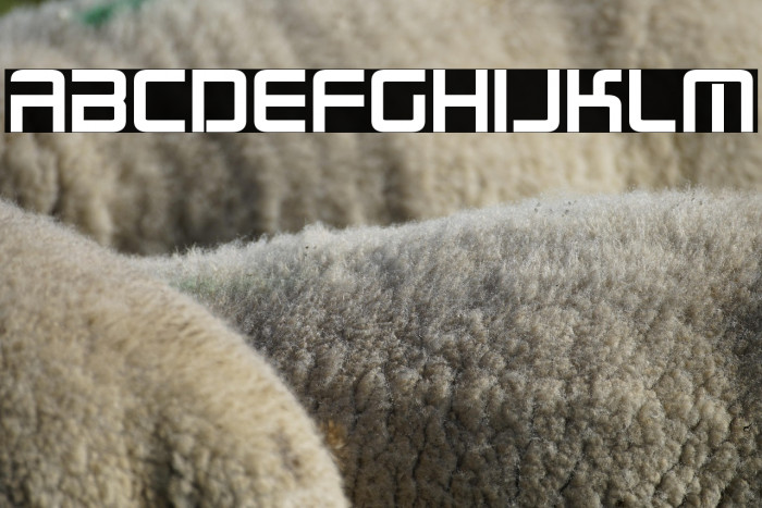 Radio Space Bold Example 1