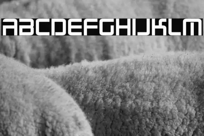 Radio Space Bold Font examples