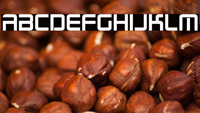 Radio Space Bold Example 2