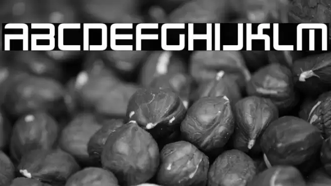 Radio Space Bold Font examples