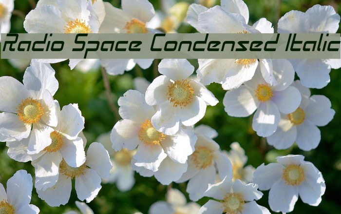Radio Space Condensed Italic Font examples