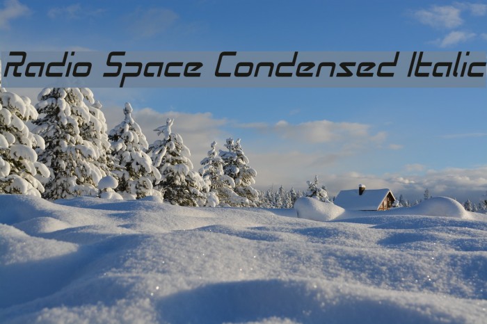Radio Space Condensed Italic Font examples