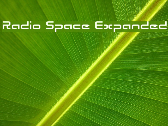 Radio Space Expanded Font examples